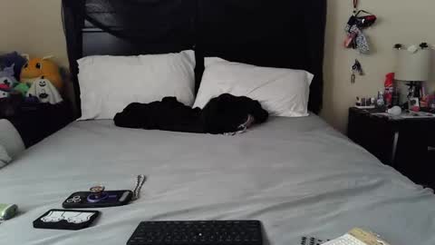 gothbaby305 online show from 10-29-25, 01:46