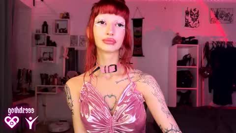    online show from 10-12-25, 12:53