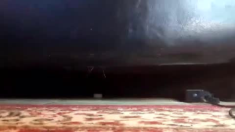 Snapshot of gothicfeetfantasies chatting on 03-12-25, 03:40 Mistress Mommy Godess online show from 03-12-25, 03:40