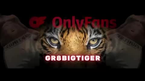 gr8bigtiger online show from 10-10-25, 09:52