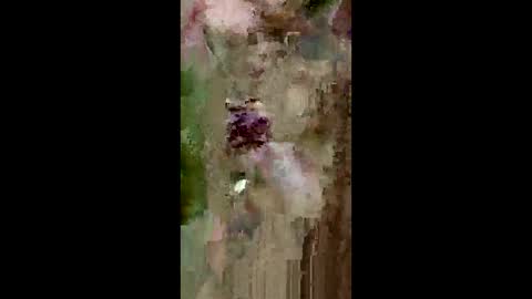 grabisz30 online show from 05-11-26, 03:29