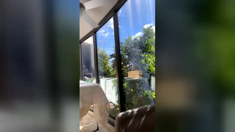 gracemeow online show from 04-27-26, 03:26