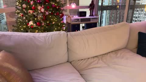 Gracie Mae online show from 01-17-25, 10:23