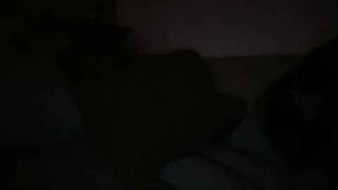 Snapshot of greenlova chatting on 03-07-25, 06:35 Sonny online show from 03-07-25, 06:35