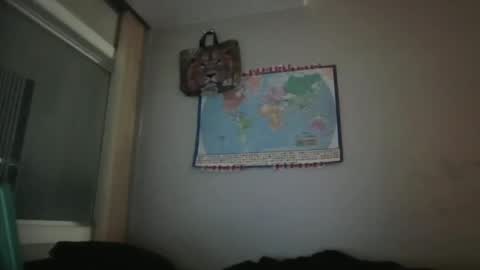 Snapshot of gregrev chatting on 01-30-25, 07:07 gregrev online show from 01-30-25, 07:07