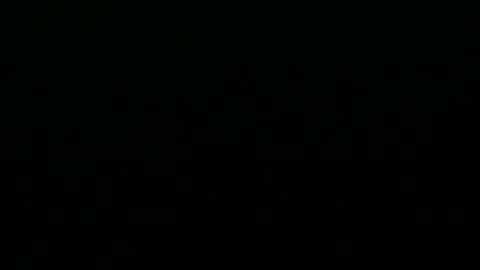 greyfox_6000 online show from 02-25-25, 04:21