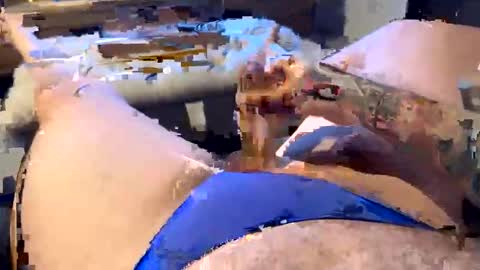 Snapshot of gt79802068 chatting on 01-11-26, 06:07 gt79802068 online show from 01-11-26, 06:07