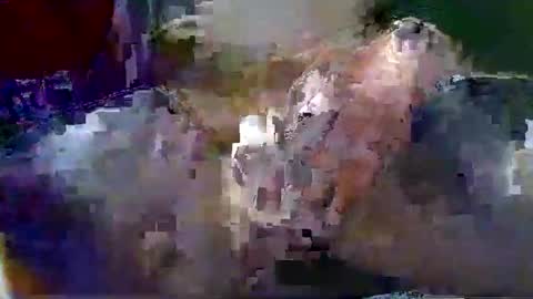 Gary online show from 01-18-26, 01:42