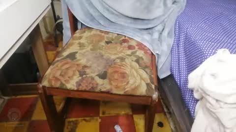 Snapshot of guatemangt chatting on 03-12-25, 04:19 guatemangt online show from 03-12-25, 04:19