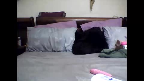 gucci-bx online show from 03-08-25, 02:23