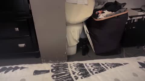 Snapshot of gumbywanna chatting on 12-20-24, 01:36 gumbywanna online show from 12-20-24, 01:36