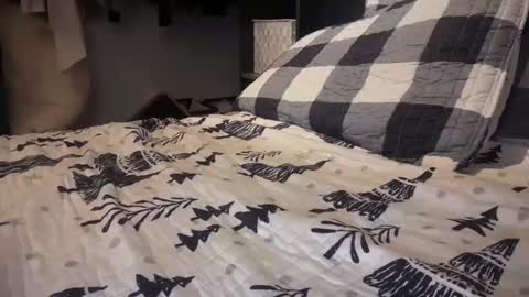 Snapshot of gumbywanna chatting on 12-29-24, 12:09 gumbywanna online show from 12-29-24, 12:09