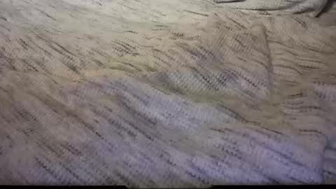 Snapshot of gumbywanna chatting on 02-08-25, 05:08 gumbywanna online show from 02-08-25, 05:08