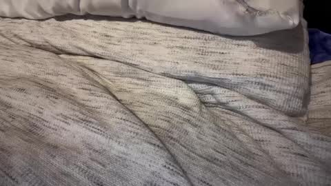 Snapshot of gumbywanna chatting on 02-09-25, 03:23 gumbywanna online show from 02-09-25, 03:23