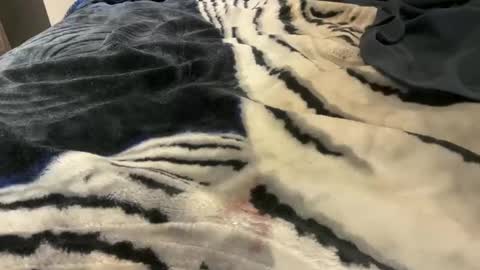 Snapshot of gumbywanna chatting on 10-24-25, 03:25 gumbywanna online show from 10-24-25, 03:25