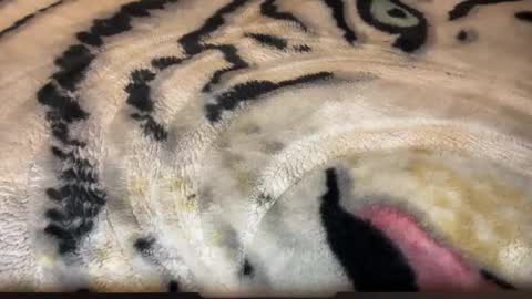 gumbywanna online show from 03-02-26, 06:58