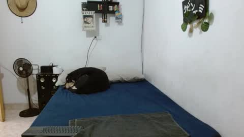 Snapshot of guts_x chatting on 12-06-24, 05:33 Guts online show from 12-06-24, 05:33