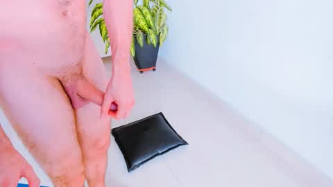 Margareth  Stallion online show from 03-12-26, 08:37