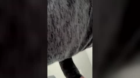 Ricko online show from 03-06-26, 05:53