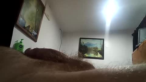 Snapshot of h_rd333 chatting on 06-01-26, 02:30 h_rd333 online show from 06-01-26, 02:30