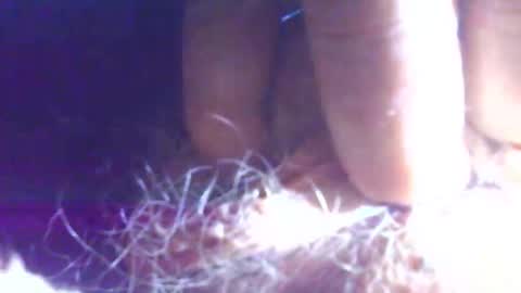 hagridthehorrible online show from 11-01-25, 11:23