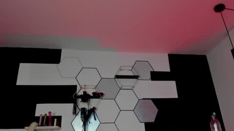 haileycat_ online show from 01-23-25, 02:12