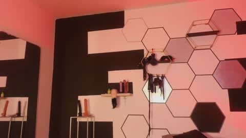 haileycat_ online show from 01-25-25, 12:27