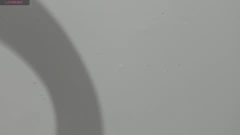 Hailey online show from 03-13-26, 11:00