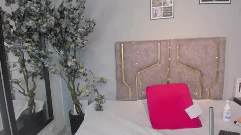 Snapshot of haileystonei chatting on 11-21-25, 11:31 haileystonei online show from 11-21-25, 11:31