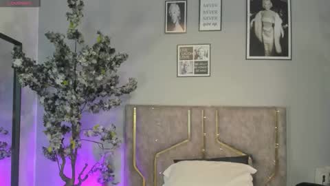 Snapshot of haileystonei chatting on 12-05-25, 11:30 haileystonei online show from 12-05-25, 11:30