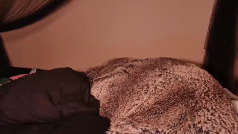 Snapshot of hailwilds chatting on 03-01-25, 02:59 HailWilds online show from 03-01-25, 02:59