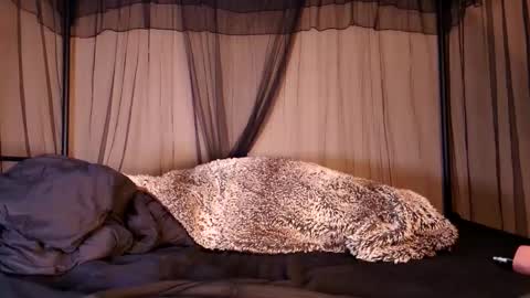 Snapshot of hailwilds chatting on 09-12-25, 06:35 HailWilds online show from 09-12-25, 06:35