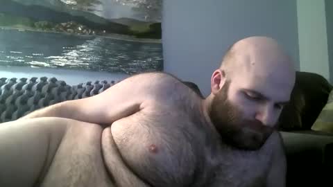 Hairiest Bear online show from 01-12-25, 08:36