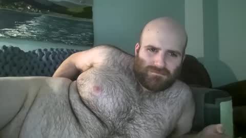 Hairiest Bear online show from 01-14-25, 03:47