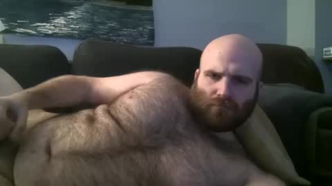 Hairiest Bear online show from 01-26-25, 07:10
