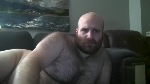 Hairiest Bear online show from 01-30-25, 09:04