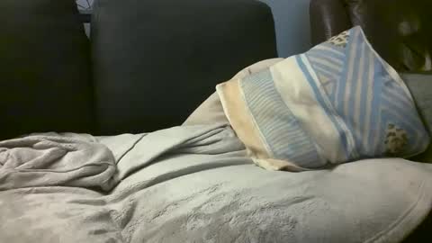 Hairiest Bear online show from 02-18-25, 08:16