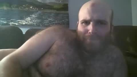 Hairiest Bear online show from 02-23-25, 09:44