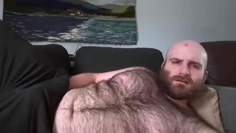Hairiest Bear online show from 03-02-25, 06:19