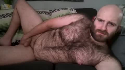 Hairiest Bear online show from 02-06-26, 06:55