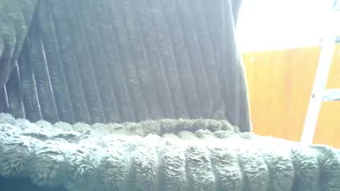 HairyHornyTwinkk online show from 10-31-25, 09:32