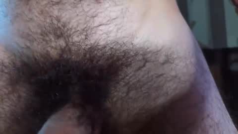 Hairy online show from 02-28-25, 11:45