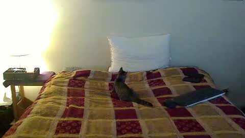 hammerthatthang73 online show from 10-16-25, 06:53