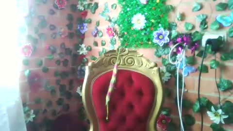 HANMy Dears make sure to follow me here create a FREE account if you dont have one and chat thank you. online show from 12-25-24, 05:05