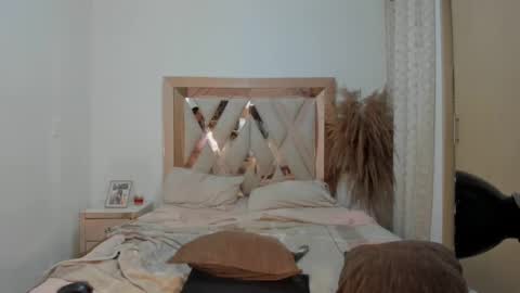 Snapshot of hana_montess chatting on 01-13-25, 02:07 Hana Montes- online show from 01-13-25, 02:07