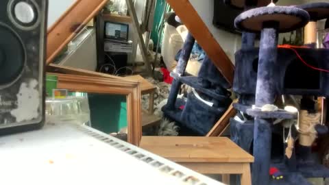 handncocknocum online show from 03-09-25, 08:18