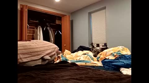 handsomedaddy198923 online show from 10-20-25, 07:36