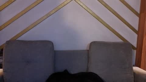 Snapshot of hanna_gatess chatting on 11-22-25, 12:04 ANA online show from 11-22-25, 12:04