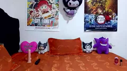 Snapshot of hanna_ross28 chatting on 11-11-25, 05:13 Hanna online show from 11-11-25, 05:13