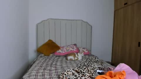 Hanna online show from 12-31-24, 03:31